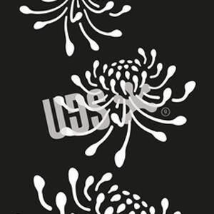 Waratah